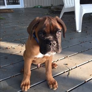 Meet your Posher, Rachel